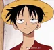 Luffy roomie