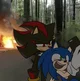 Sonic and Shadow