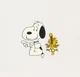 Snoopy And Woodstock