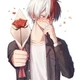 Todoroki shoto