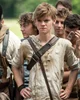 Newt TMR