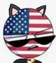 neko america