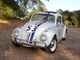 Herbie