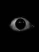 Stalker