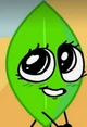 Leafy bfb