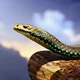 Snake simulator