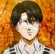 Levi Ackerman 