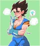 Vegetto Fem