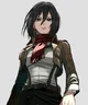 Mikasa ackerman