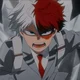 Shoto Todoroki
