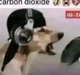 Carbon Dioxide 
