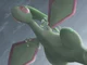 Flygon