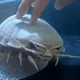Isopod