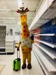 Geoffrey the giraffe
