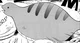 Tsuchinoko