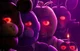 Fnaf movie RP
