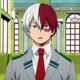 Todoroki shoto 