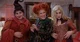 Sanderson Sisters