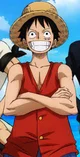 Betrayed Luffy