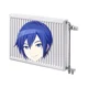 Radiator Kaito