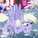 derpy hooves