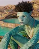 Rotxo