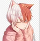 cat boy todoroki
