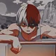 Shoto Todoroki