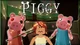 Piggy gc