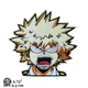 Bakugo katsuki