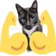 Buff kitty