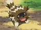 Zigzagoon PMD Style