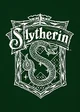 Slytherin boys