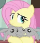 Fluttershy