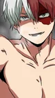 Shoto todoroki