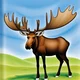 Moose story for Kids