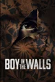 Boy in the walls