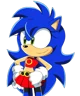 Sonica the Hedgehog