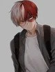 Todoroki Shoto