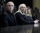 The Malfoy Family
