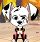 Delgado Dalmatian