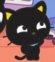 Choco cat 
