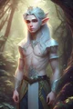 Elf Prince