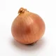 Onion