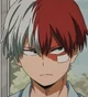 Shoto Todoroki