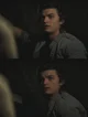 Steve Harrington 