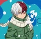 Shoto Todoroki