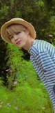 Park Jimin 