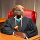 Judge Walrus