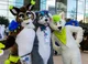 Furry group 